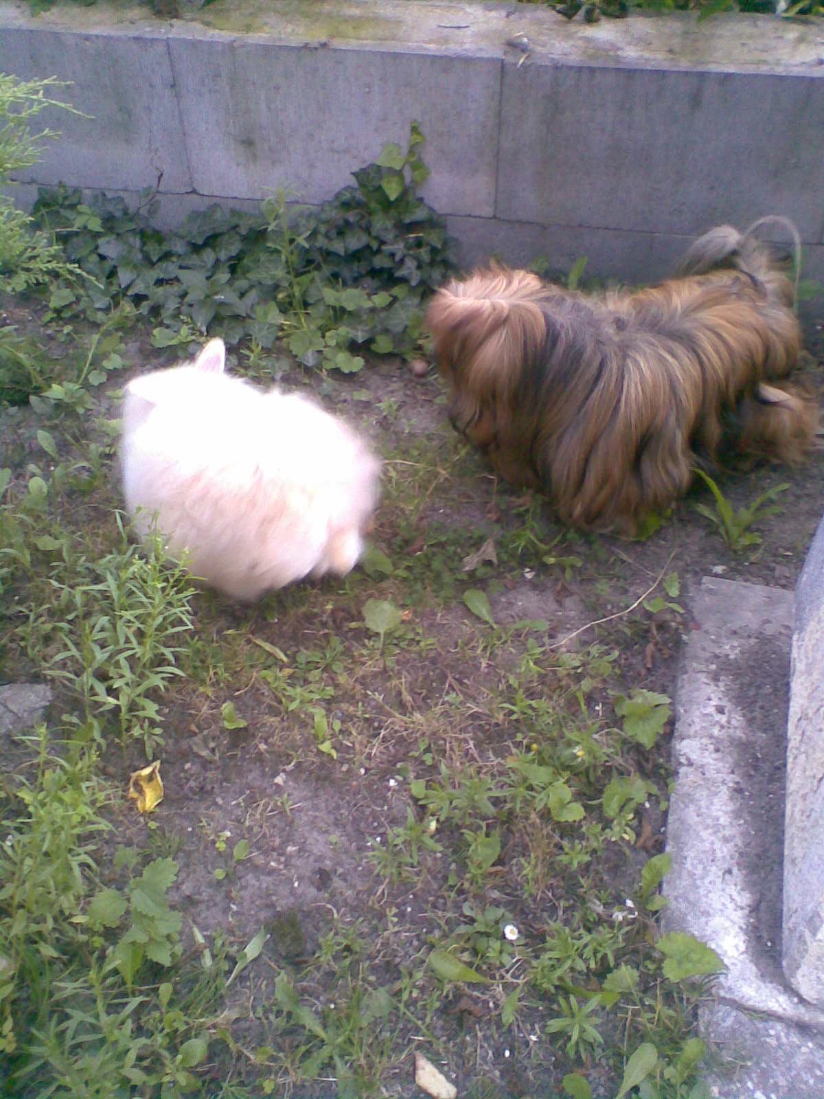 Obraz005_4.jpg