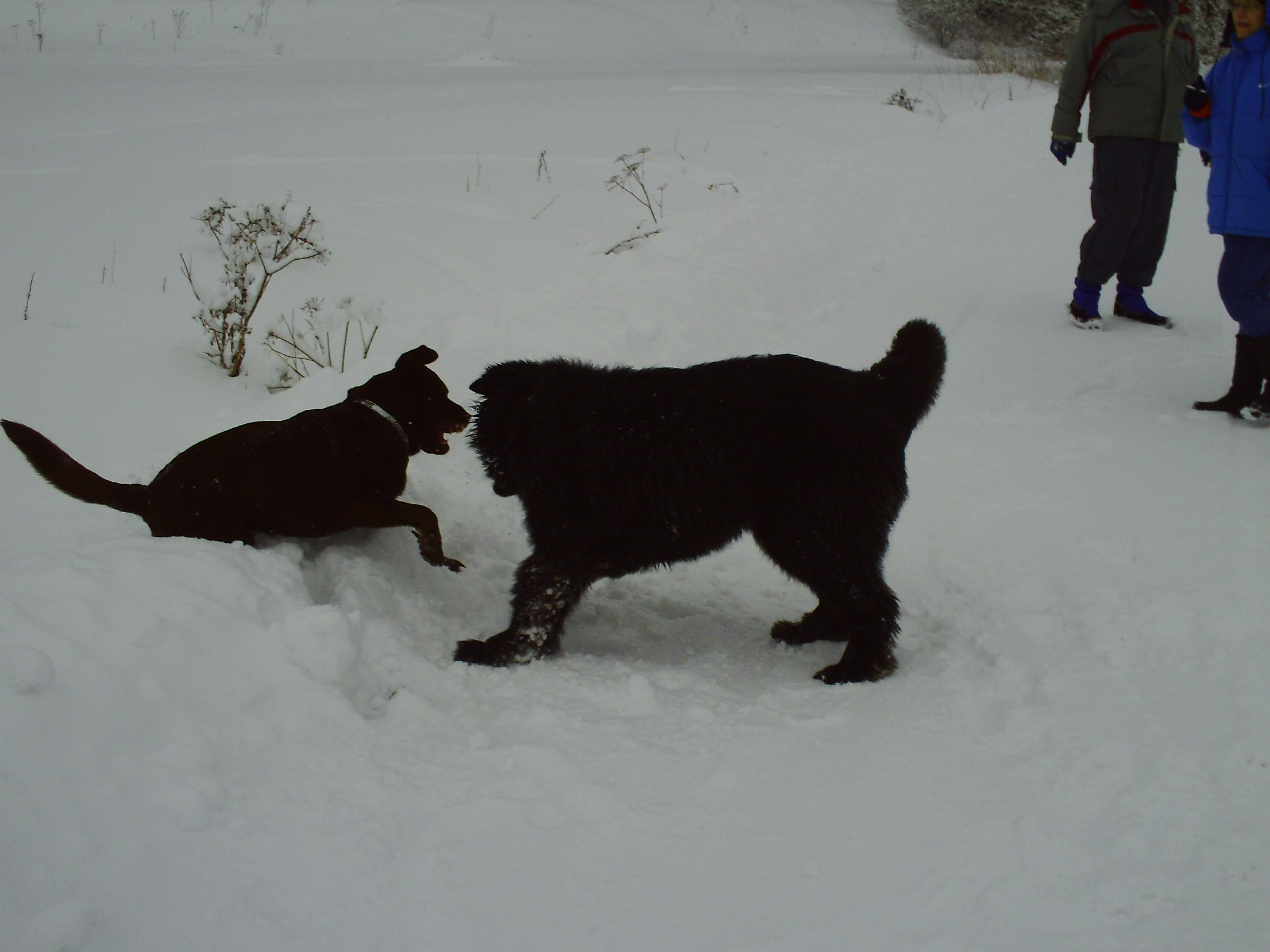 PICT0029.JPG