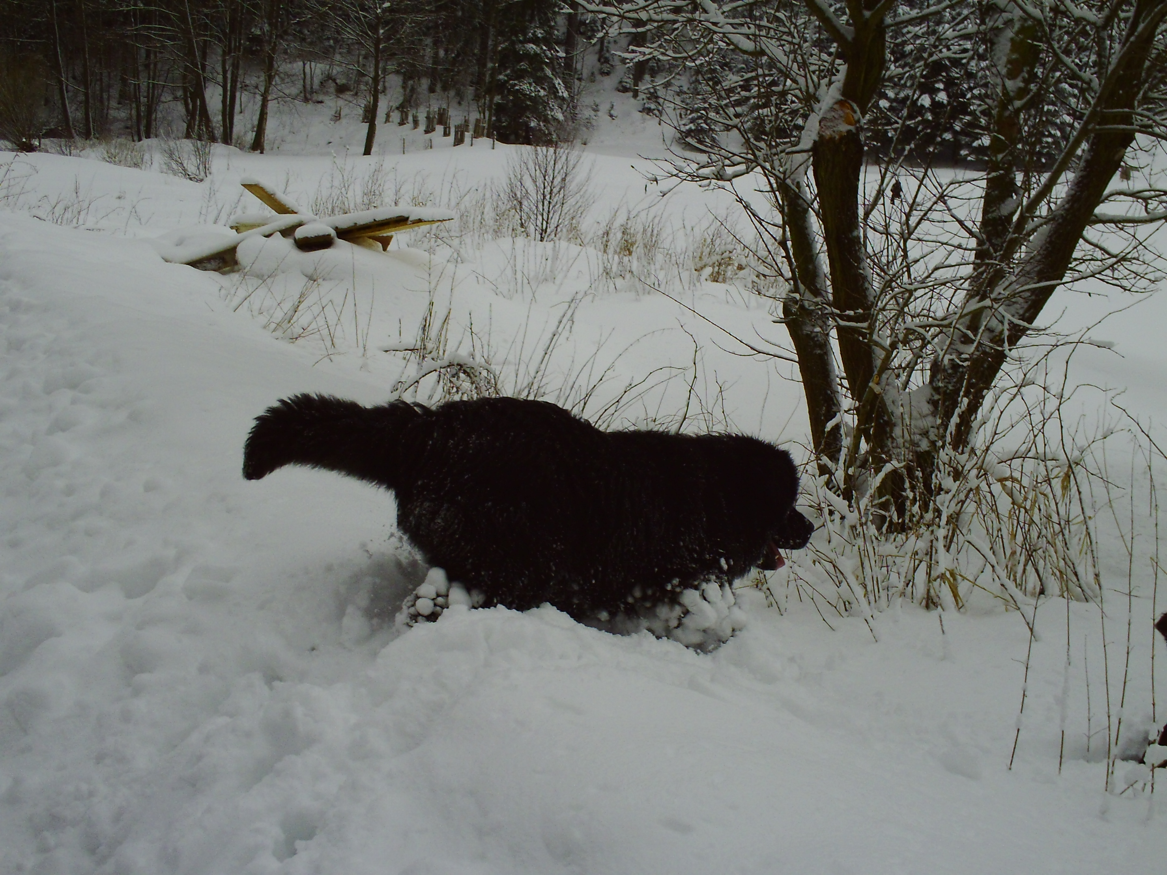 PICT0071.JPG