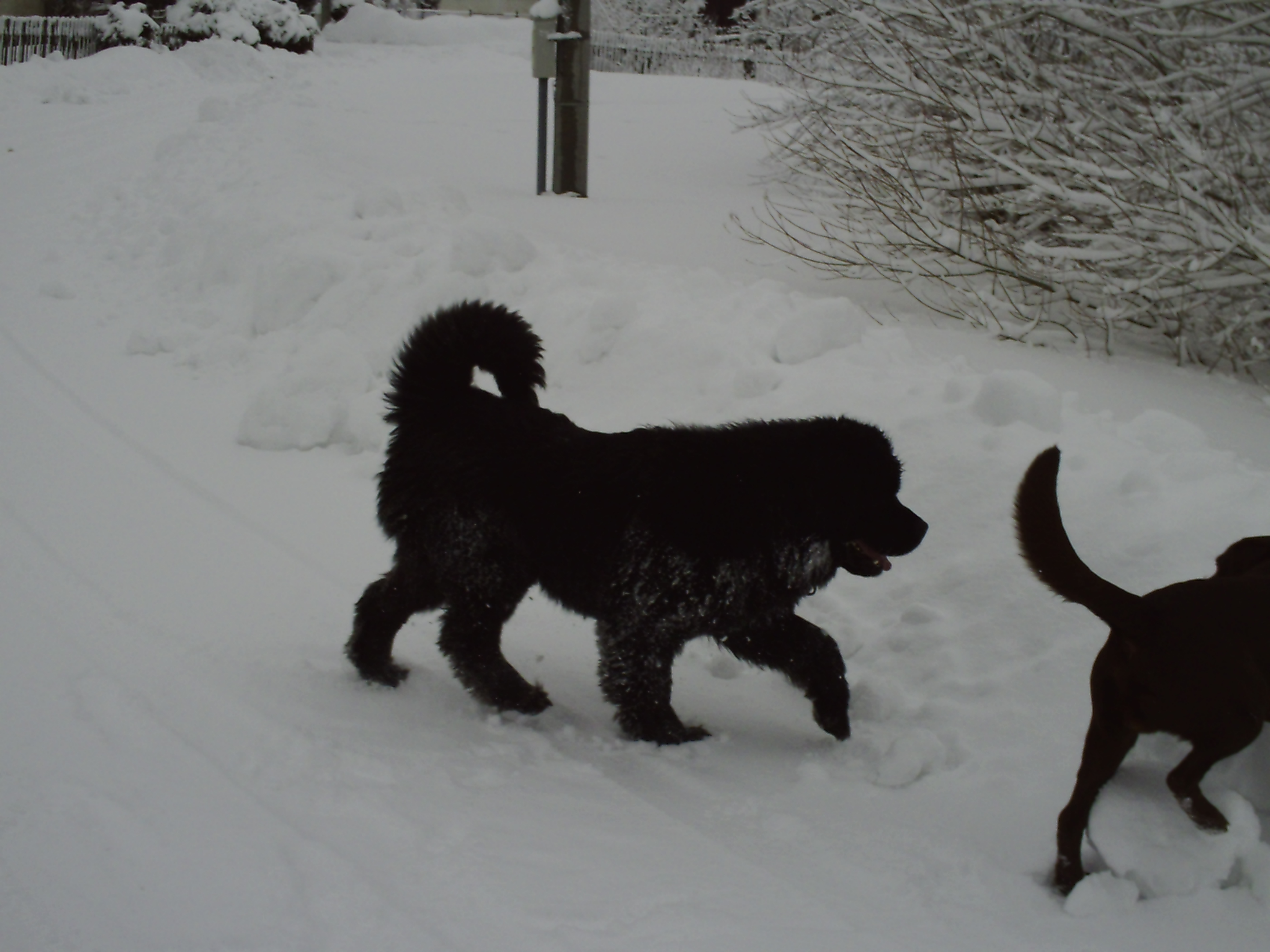 PICT0022.JPG